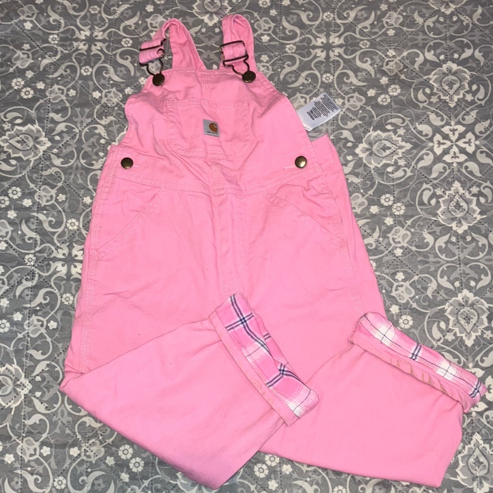 3T Carhartt insulated overalls